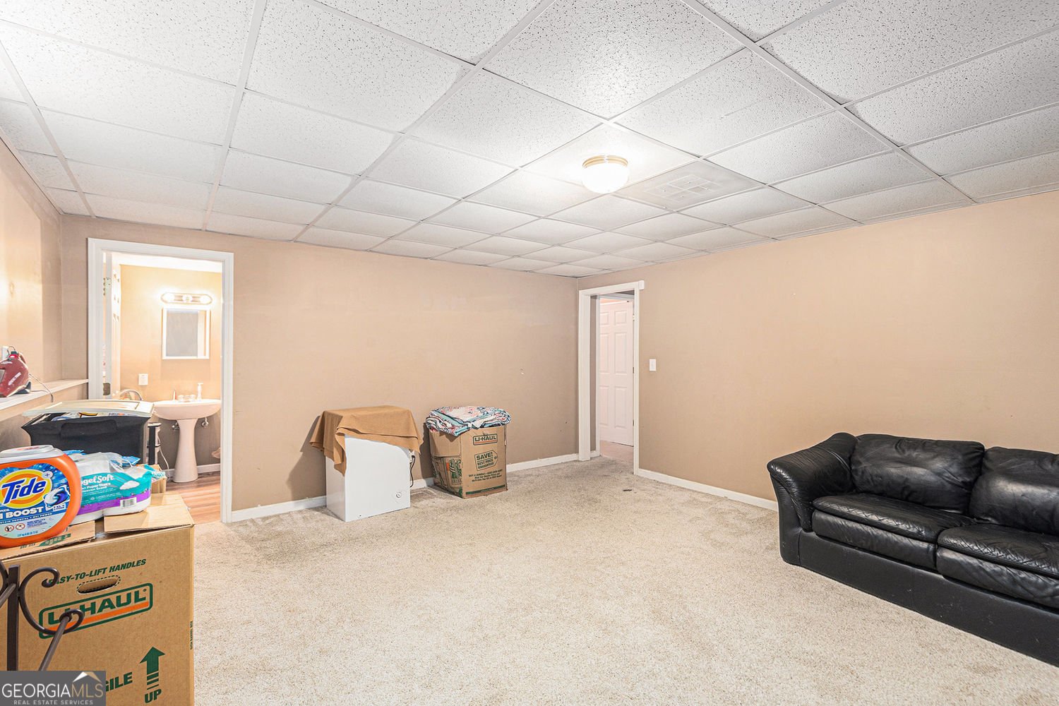 4232 Antler Court Douglasville - 19