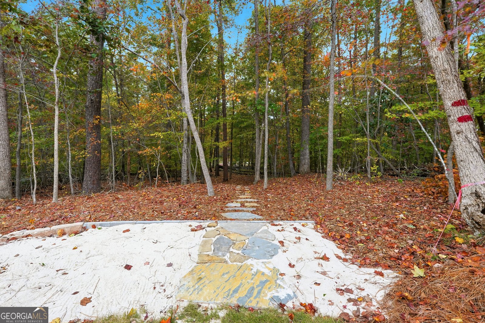 3590 Fleming Drive Drive Cumming - 27