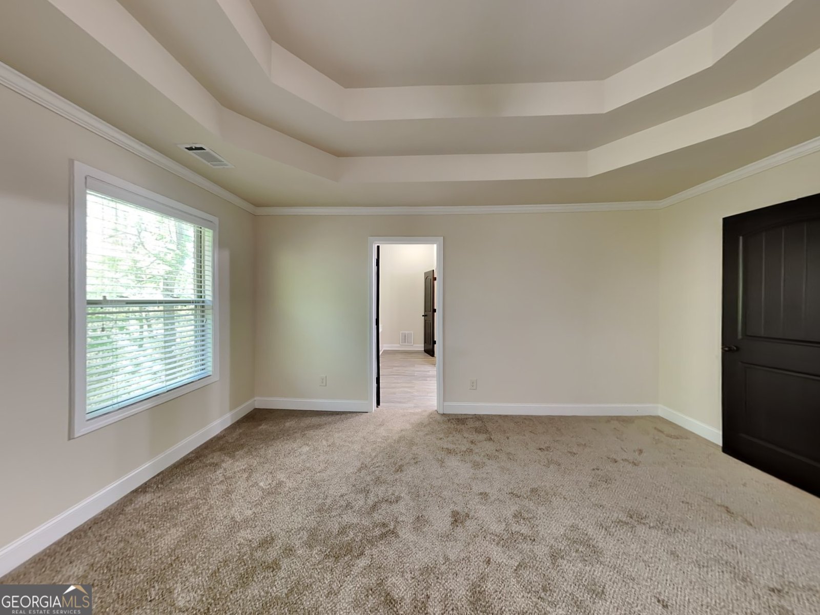 143 Tara Boulevard Loganville - 11