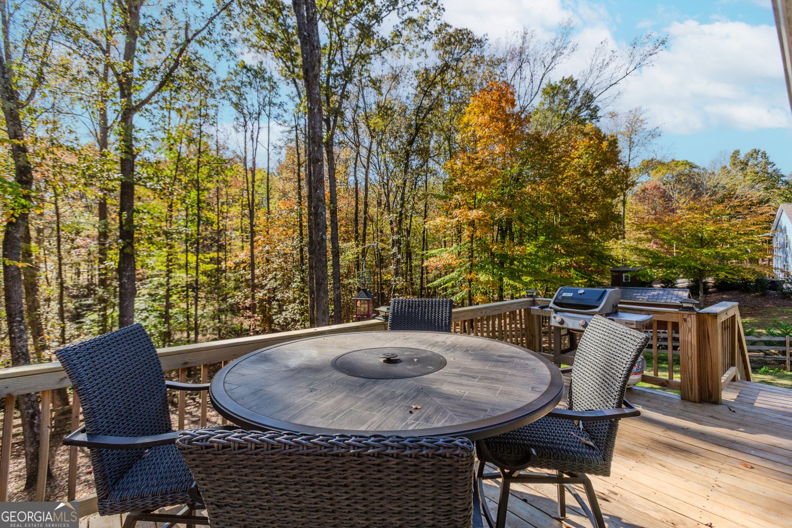 43 Water Lilly Way Pendergrass - 47