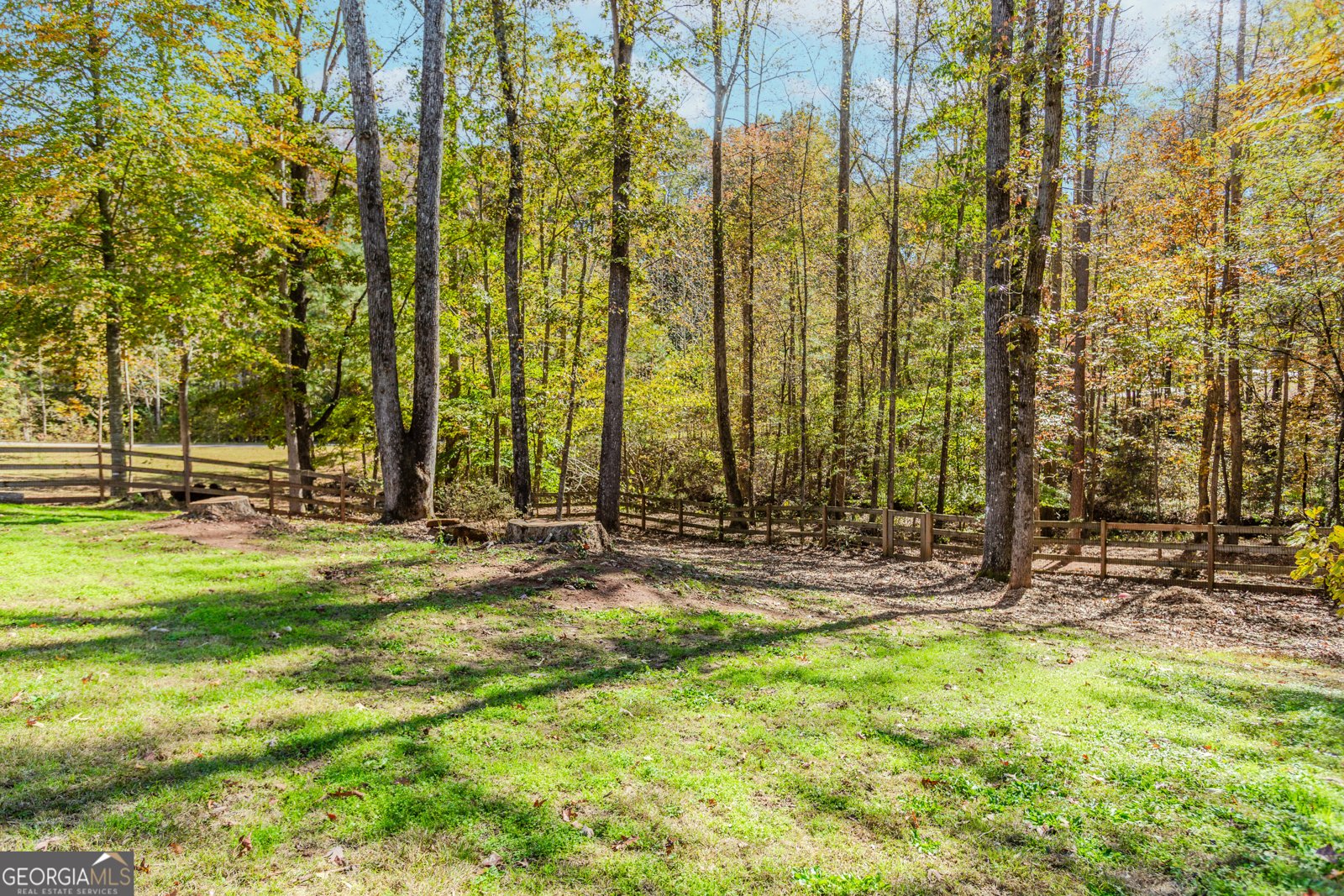 43 Water Lilly Way Pendergrass - 50