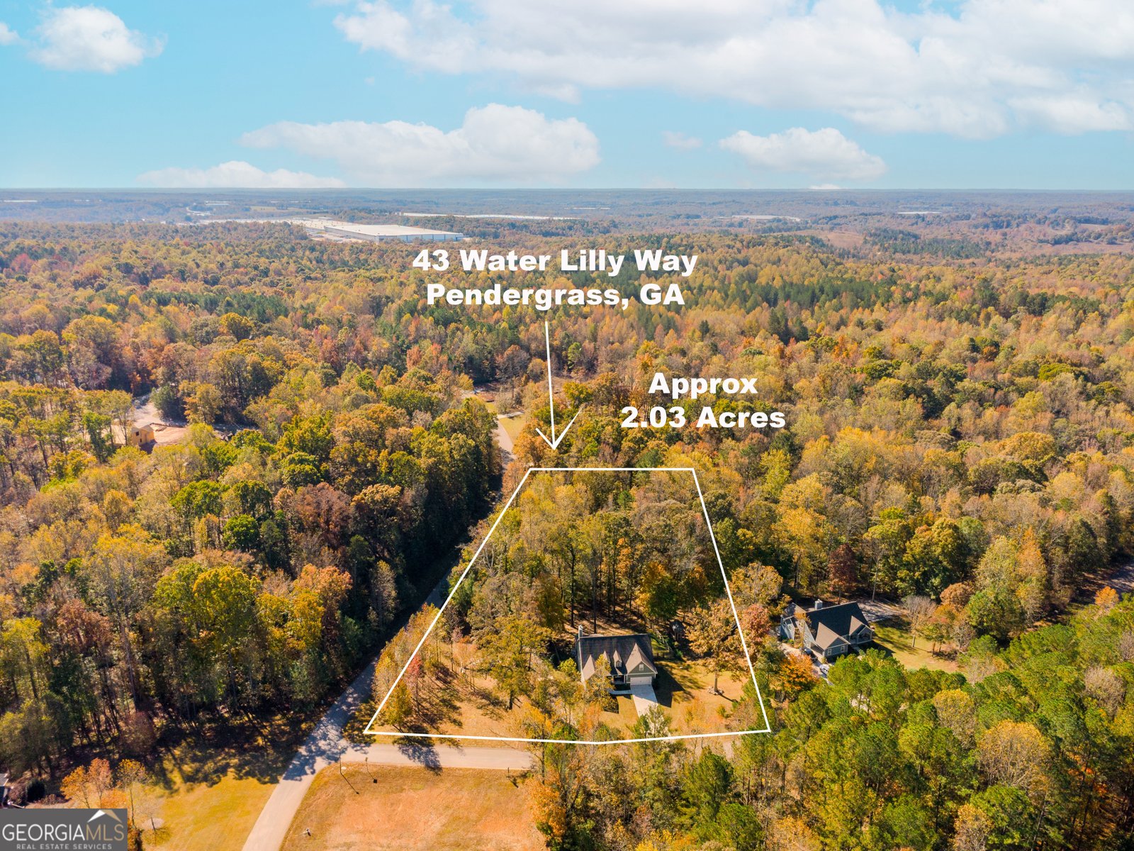 43 Water Lilly Way Pendergrass - 63