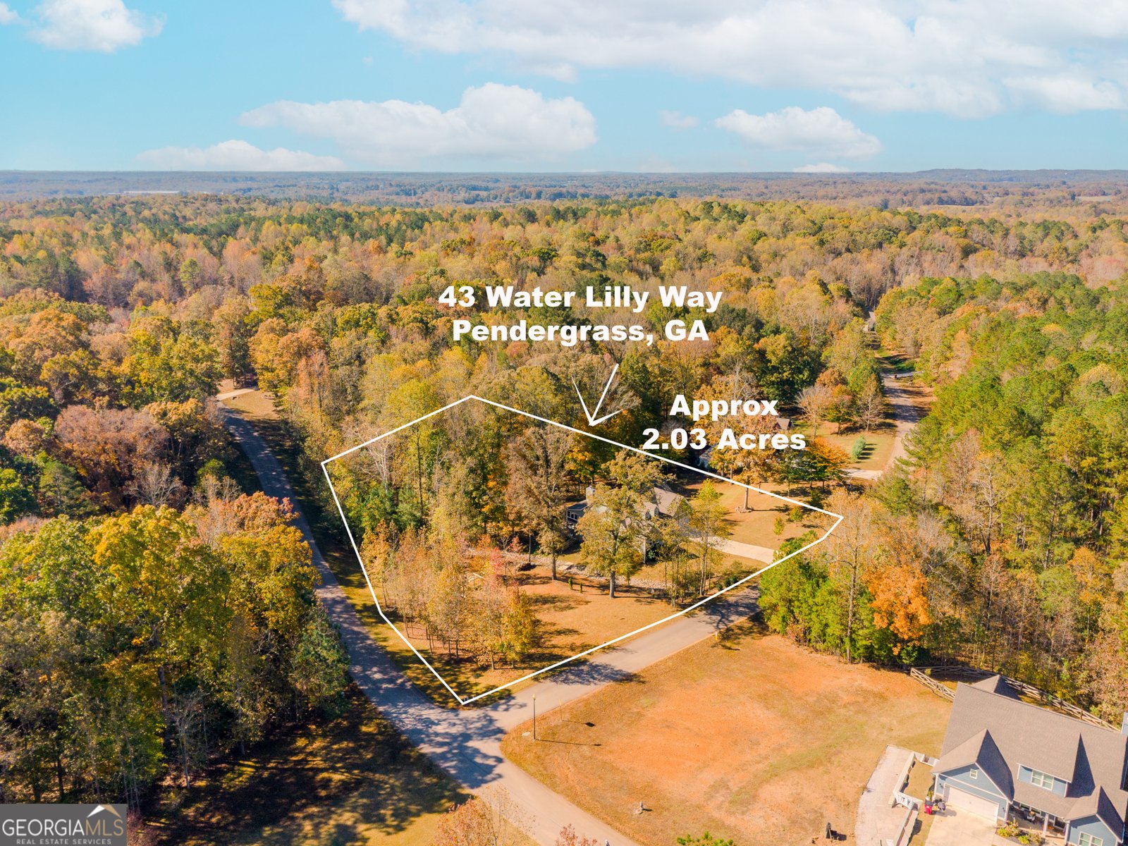 43 Water Lilly Way Pendergrass - 64