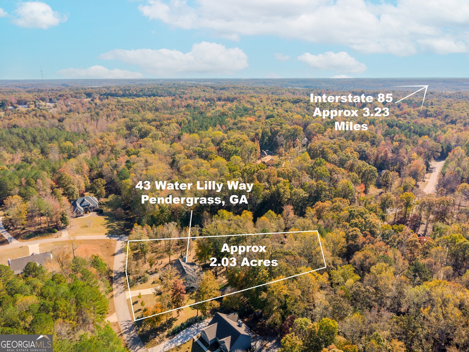 43 Water Lilly Way Pendergrass - 65