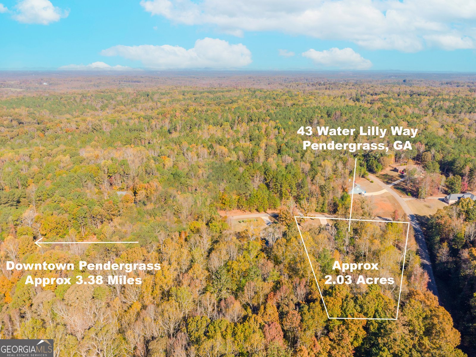 43 Water Lilly Way Pendergrass - 66