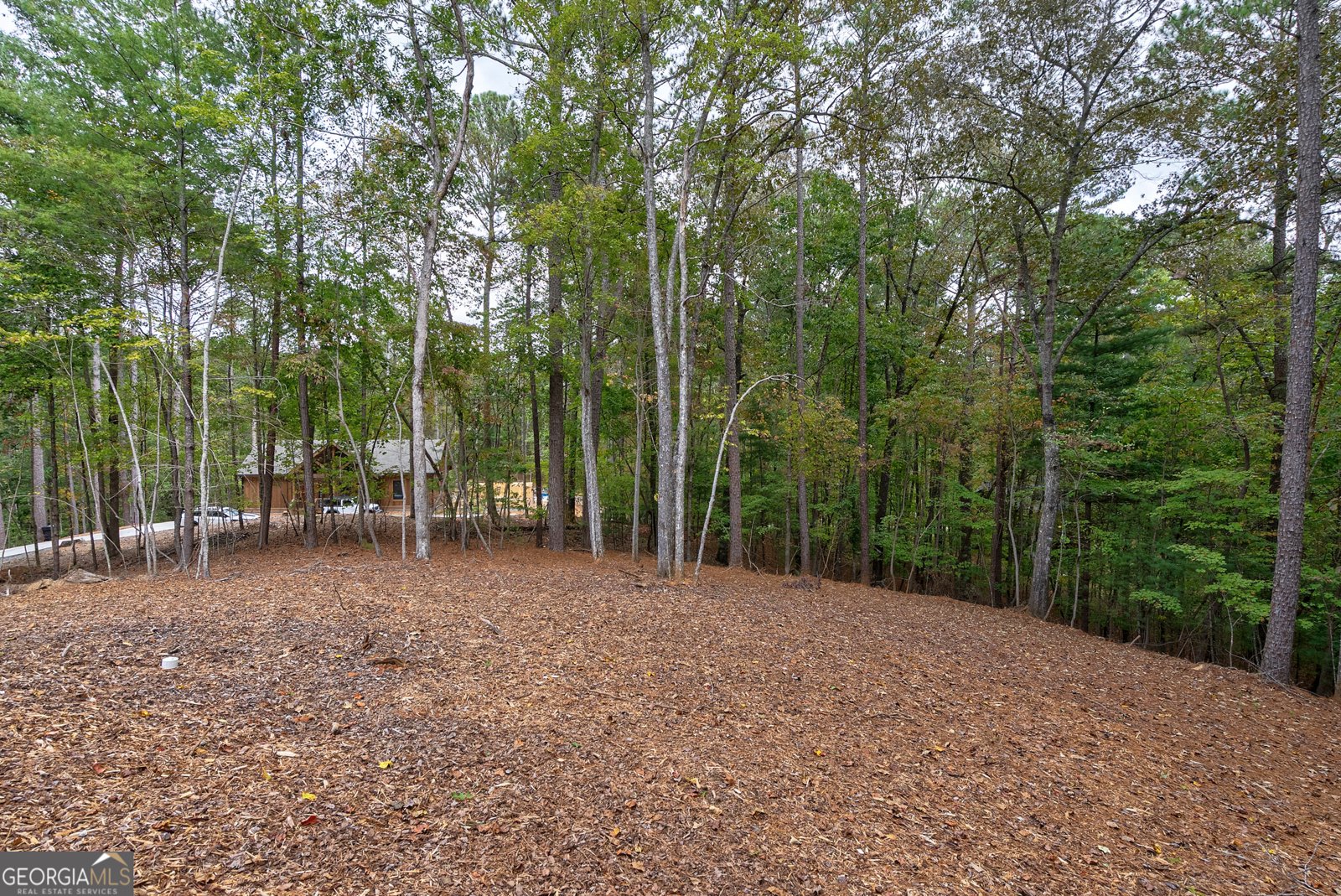 193 Haven Court Ellijay - 53