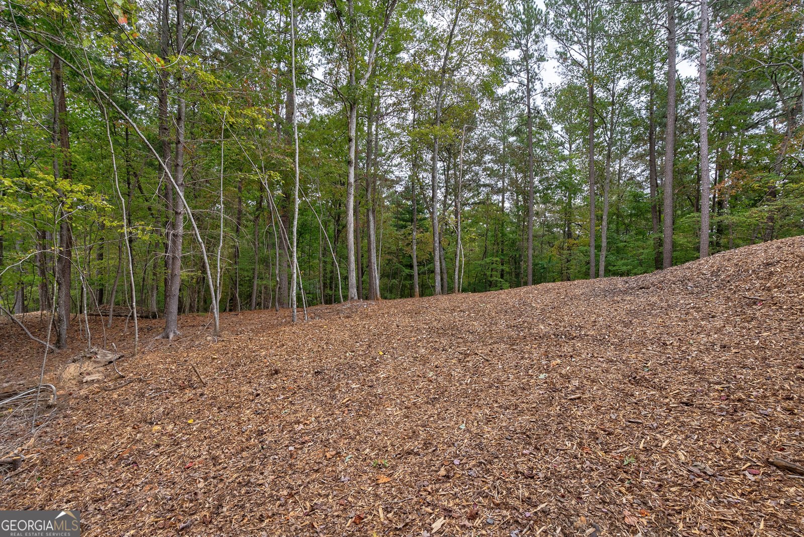 193 Haven Court Ellijay - 57