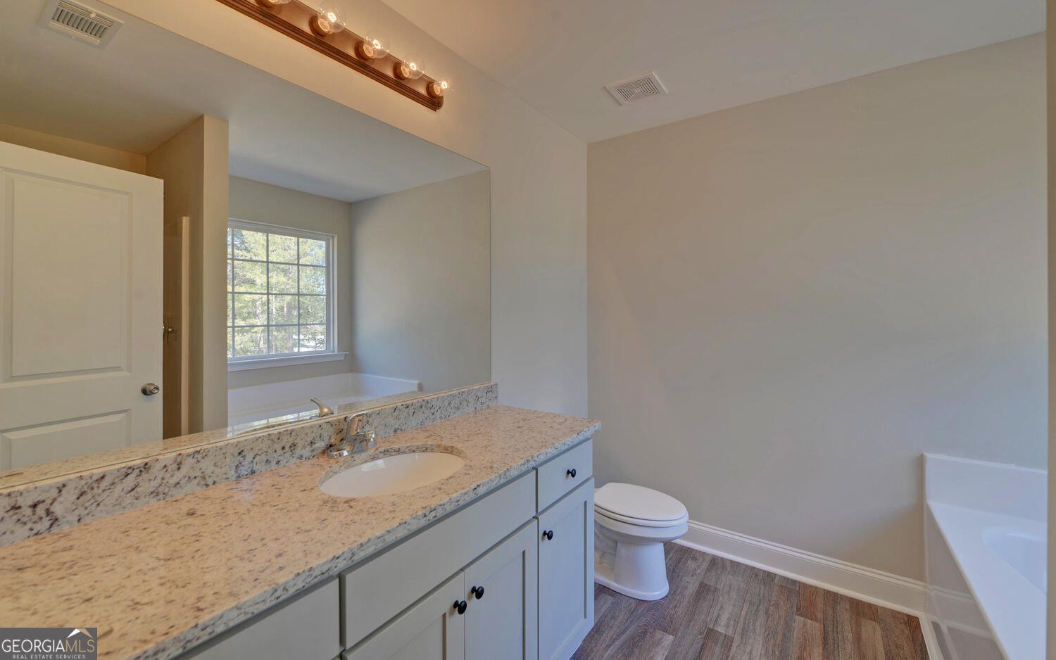 264 Canyon Point Drive Demorest - 14