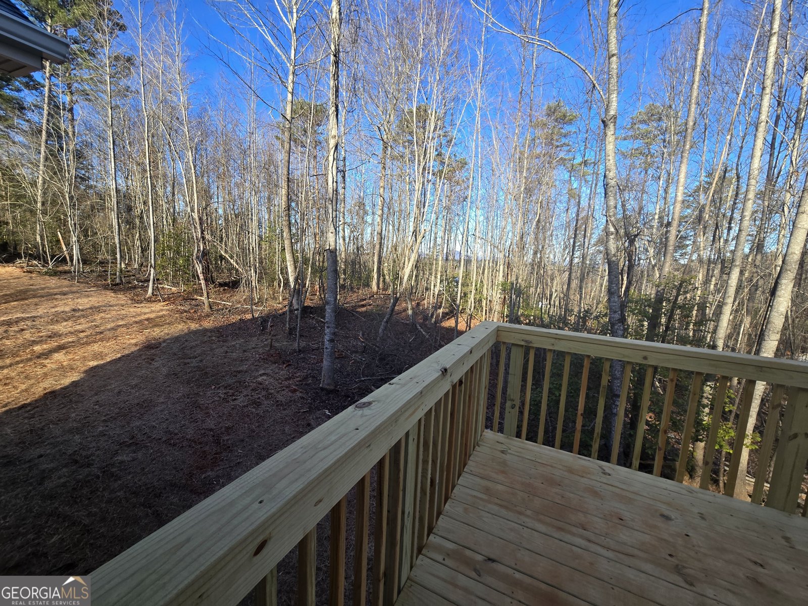 264 Canyon Point Drive Demorest - Photo 36