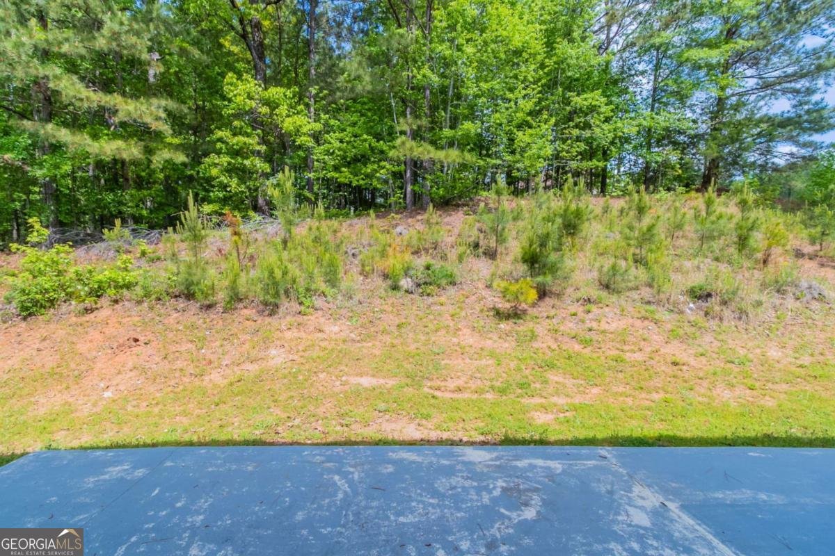 6757 Delaware Bend Fairburn - 39