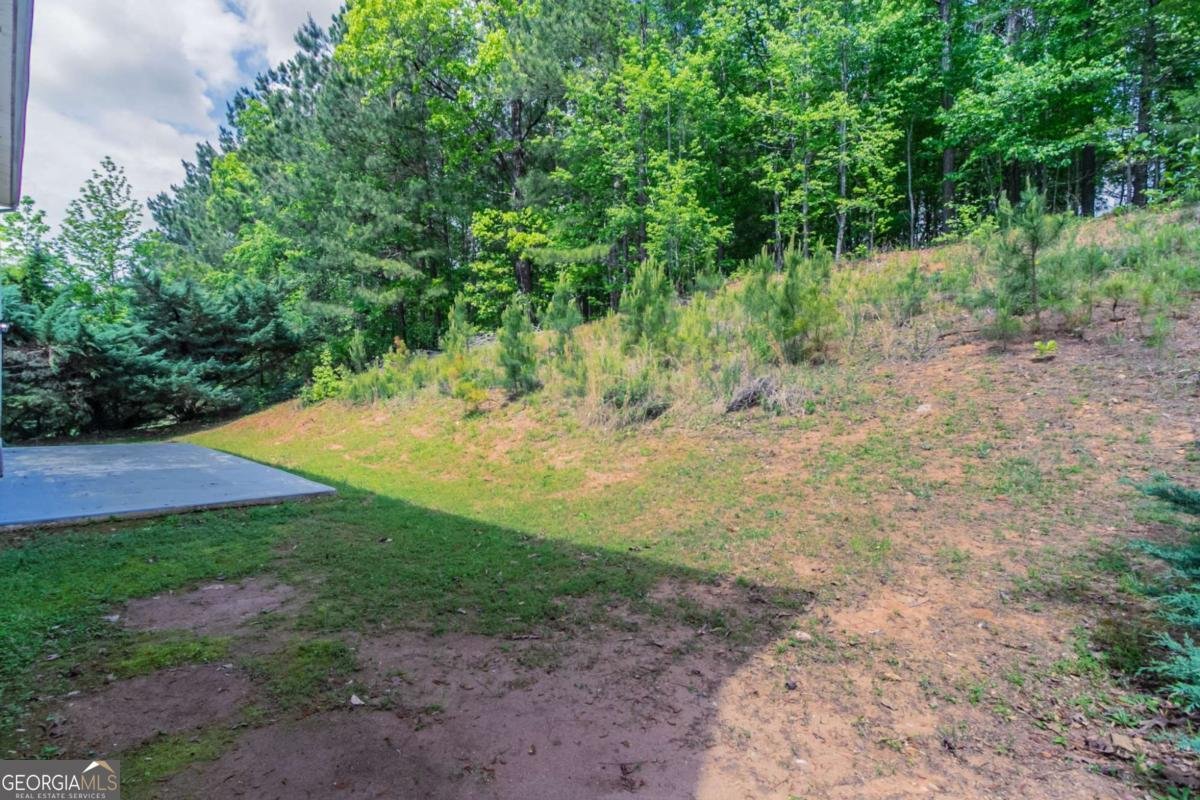 6757 Delaware Bend Fairburn - 42