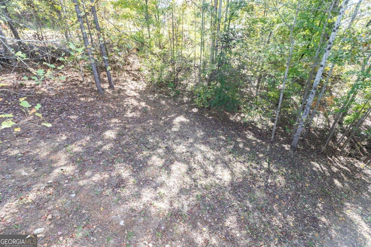 281 Cottonwood Loop Dallas - 22