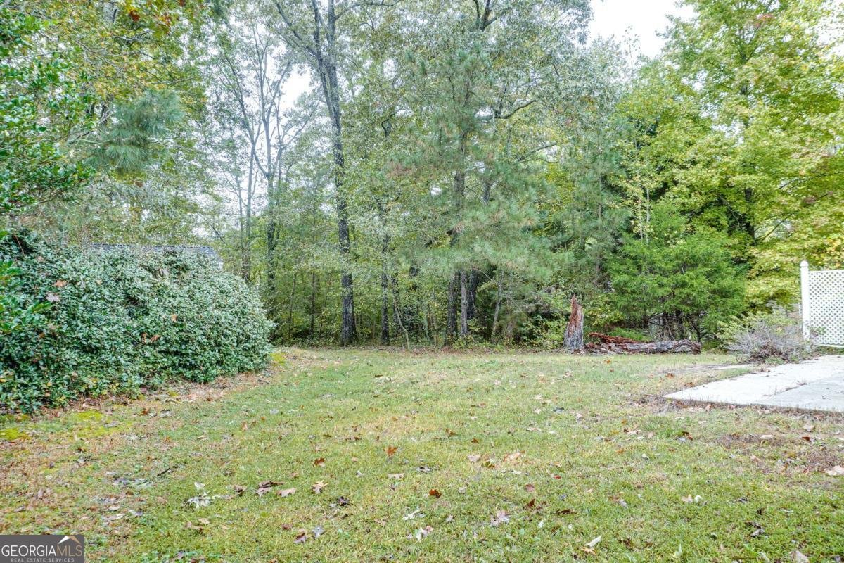 4355 Brookridge Drive Loganville - 24