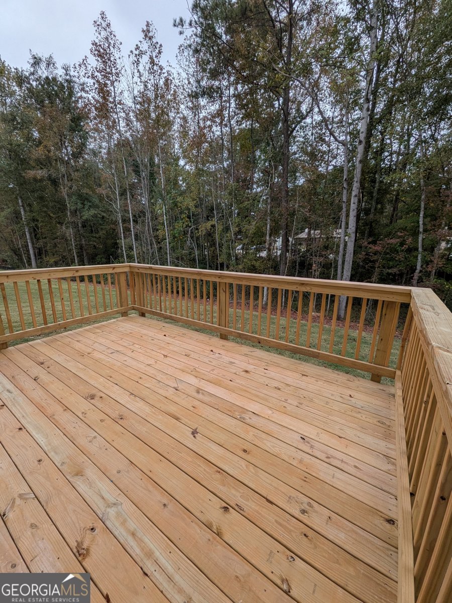 208 Laney Drive Carrollton - 31