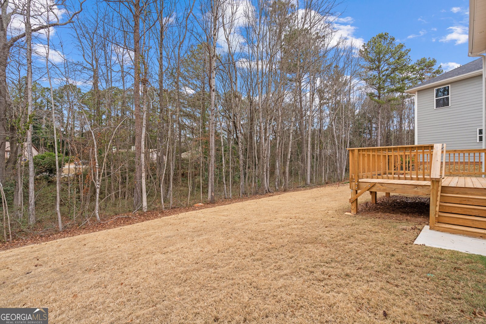 208 Laney Drive Carrollton - Photo 40