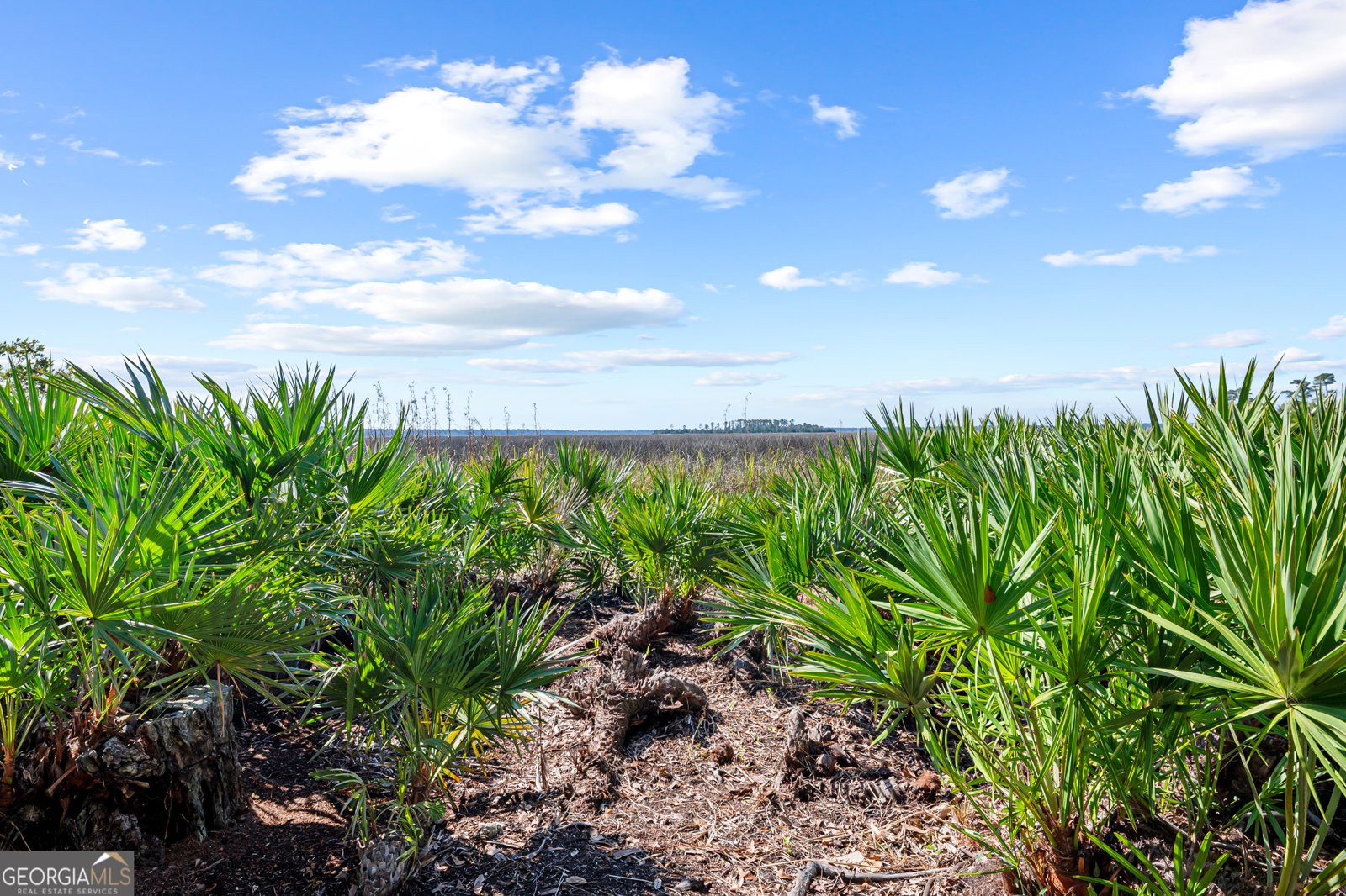 310 Osprey Circle Saint Marys - 20