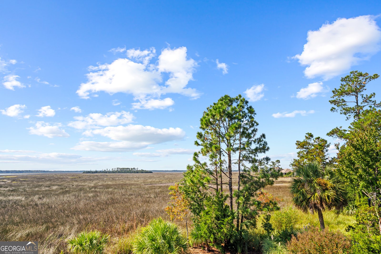 310 Osprey Circle Saint Marys - 5