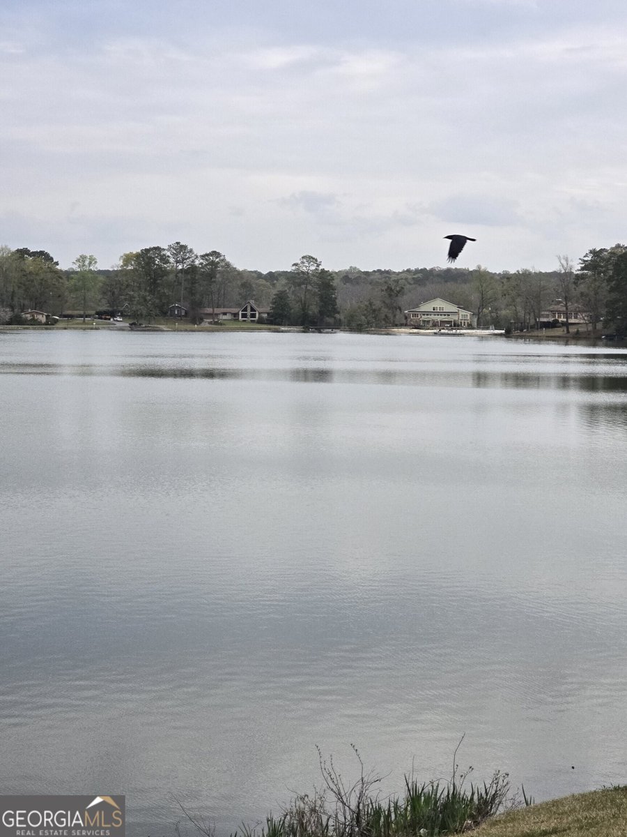 2527 Amalfi Drive Conyers - 11