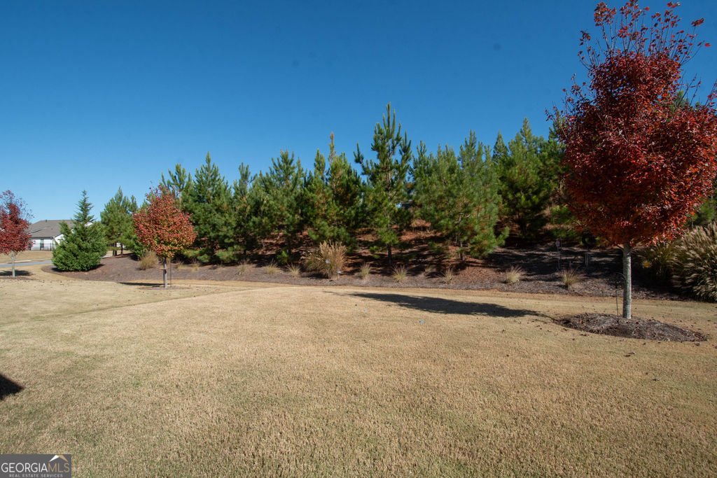 120 Red Maple Drive Peachtree City - 23