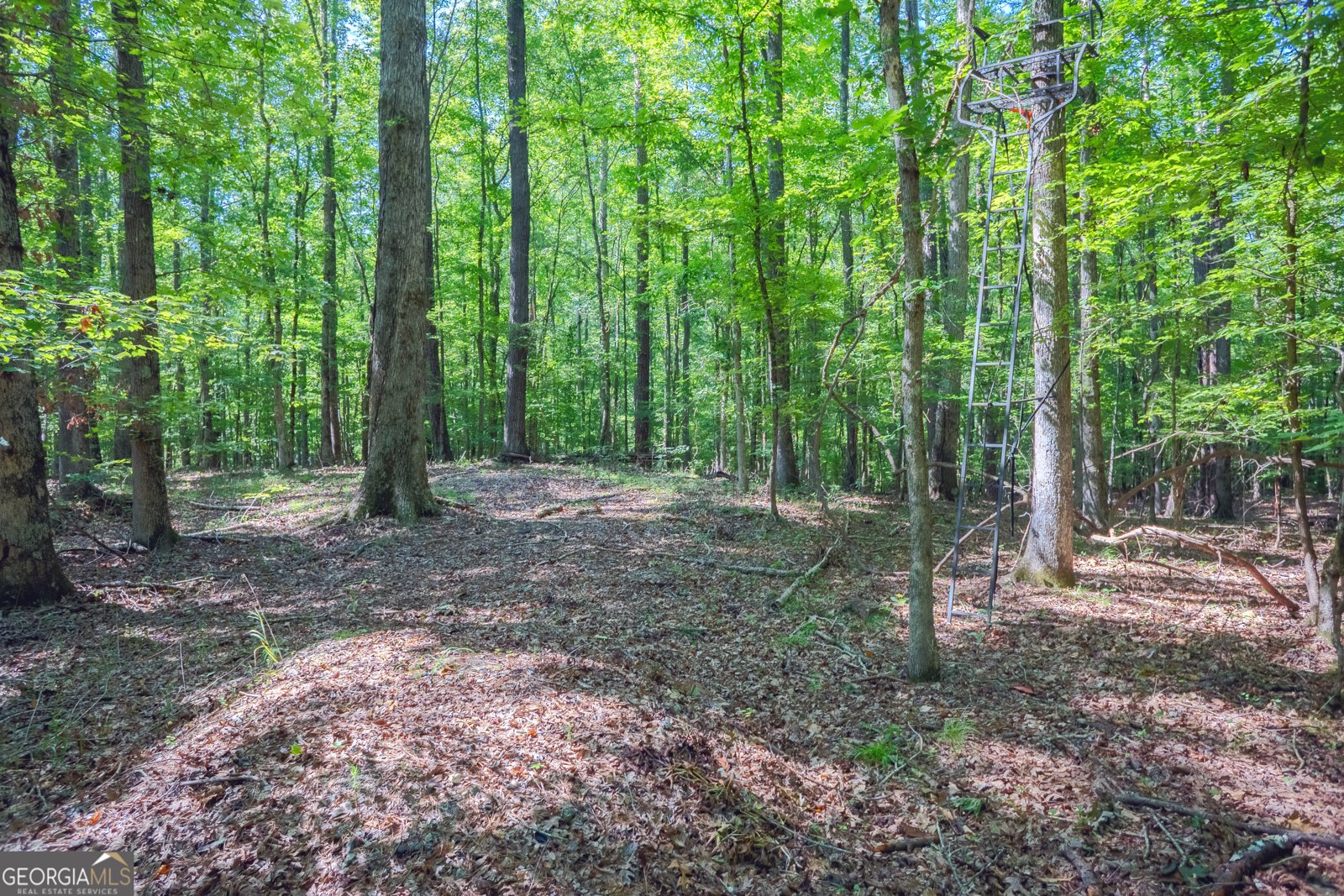 360 Darren Dr Fayetteville - 30