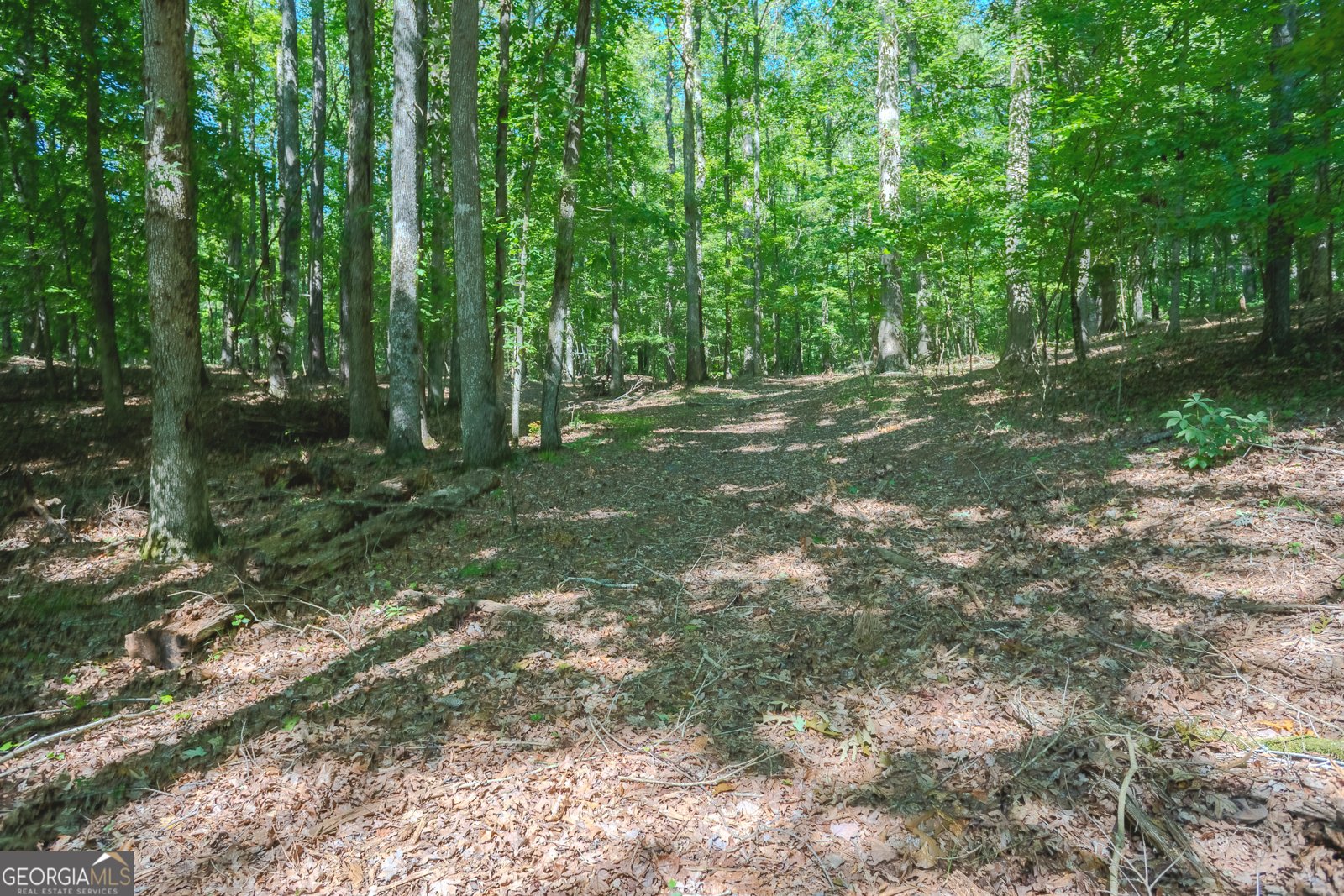 360 Darren Dr Fayetteville - 45