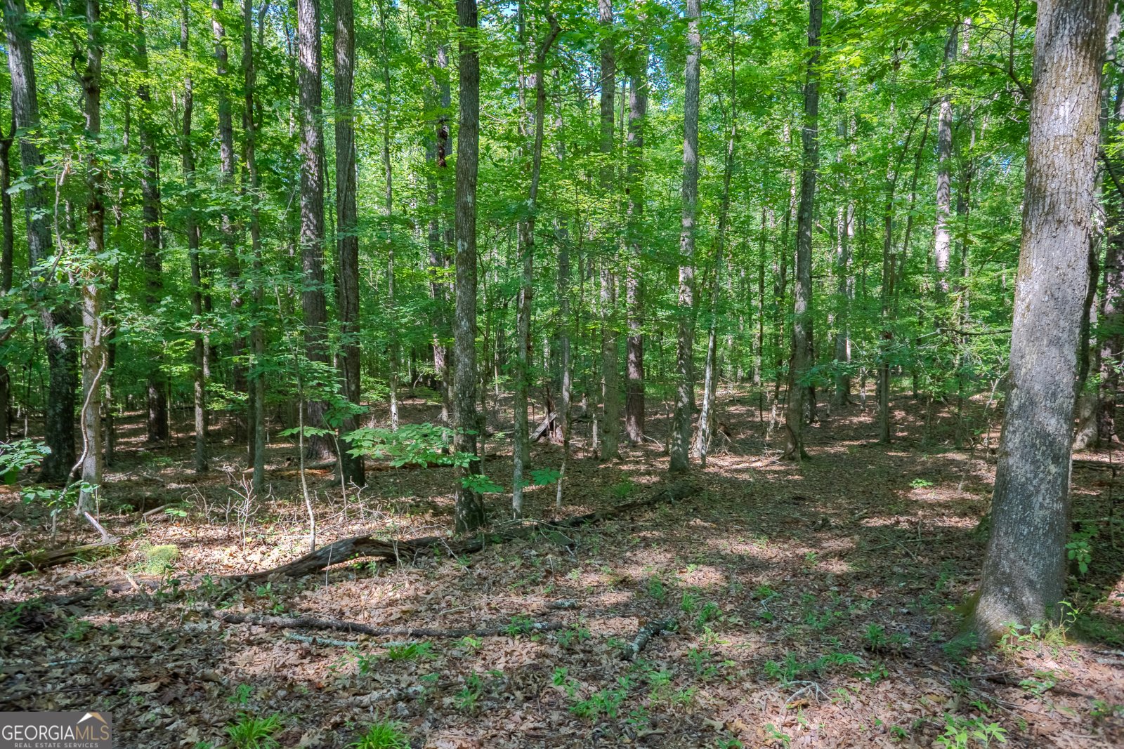 360 Darren Dr Fayetteville - 47