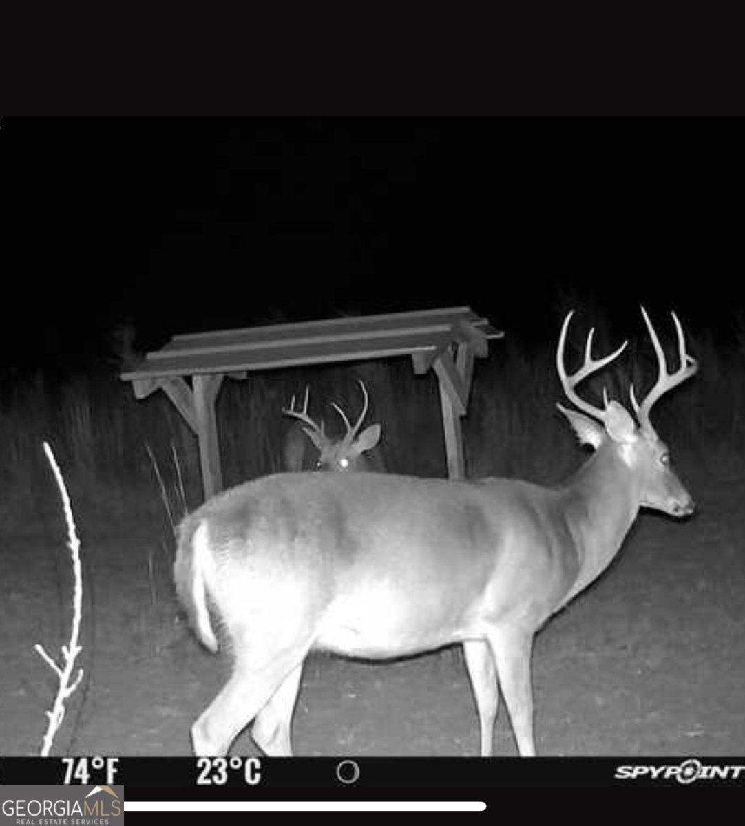 1176 Highway 57 Twin City - 23