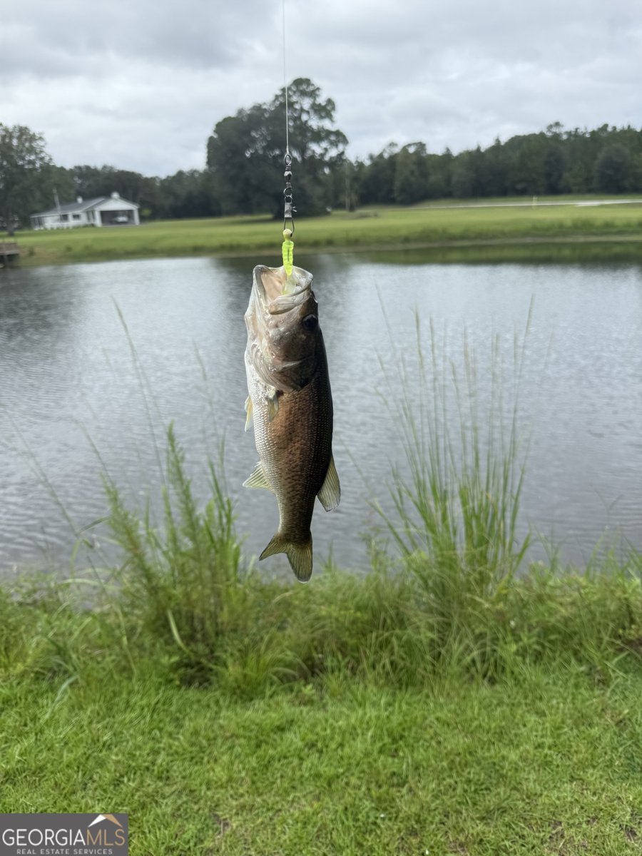 1176 Highway 57 Twin City - 24