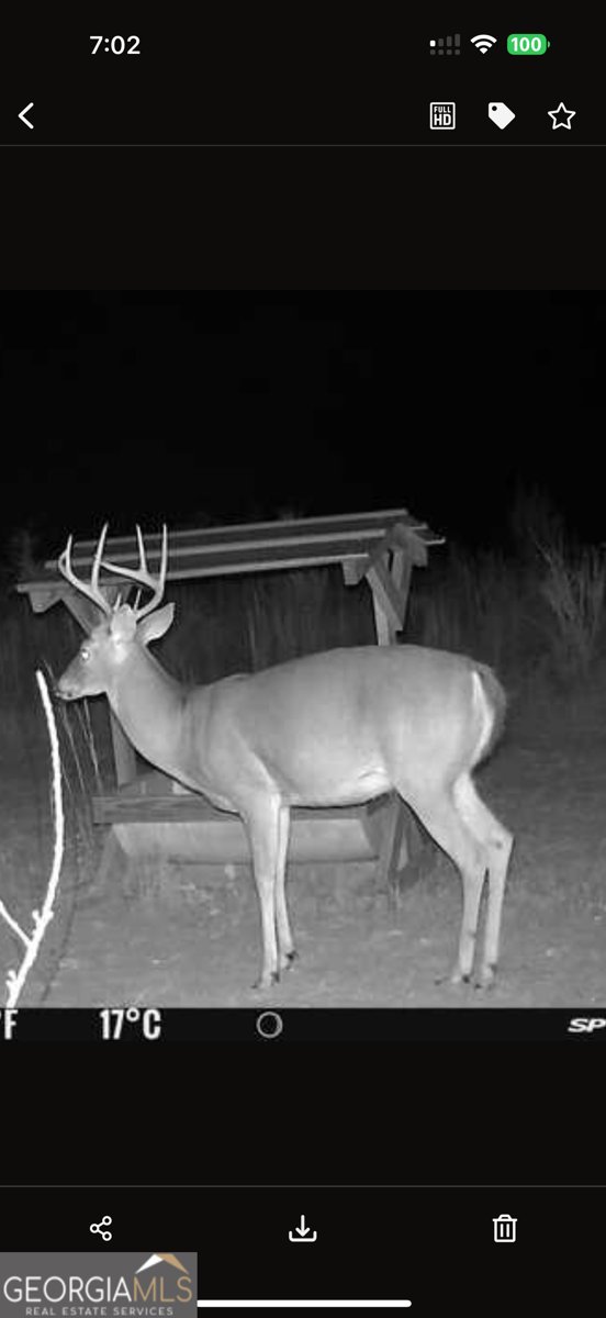 1176 Highway 57 Twin City - 62