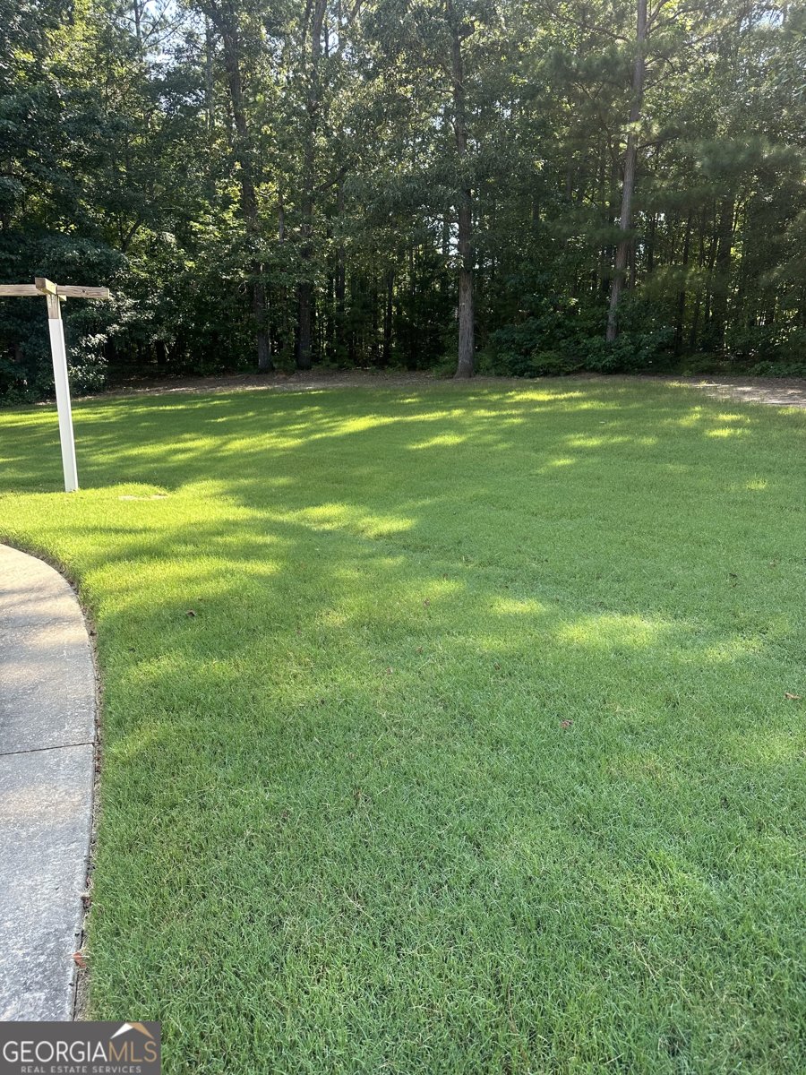 1442 Swiftwater Circle McDonough - 5