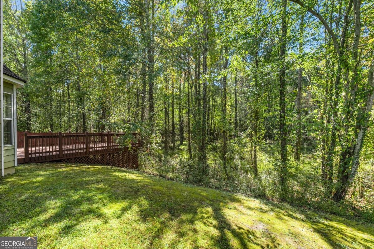 4849 Lily Stem Drive Auburn - 8