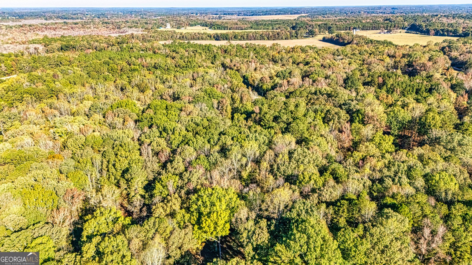 99 Gay Road Griffin - 30