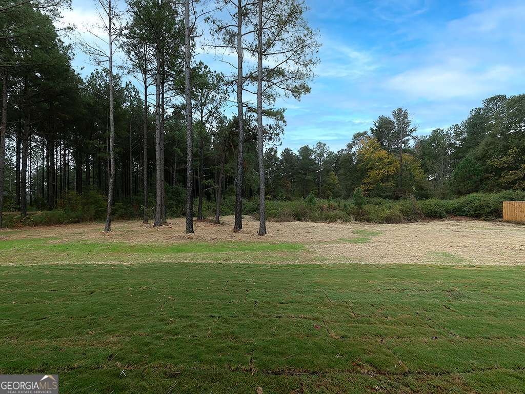 164 Puckett Rd Dallas - 34