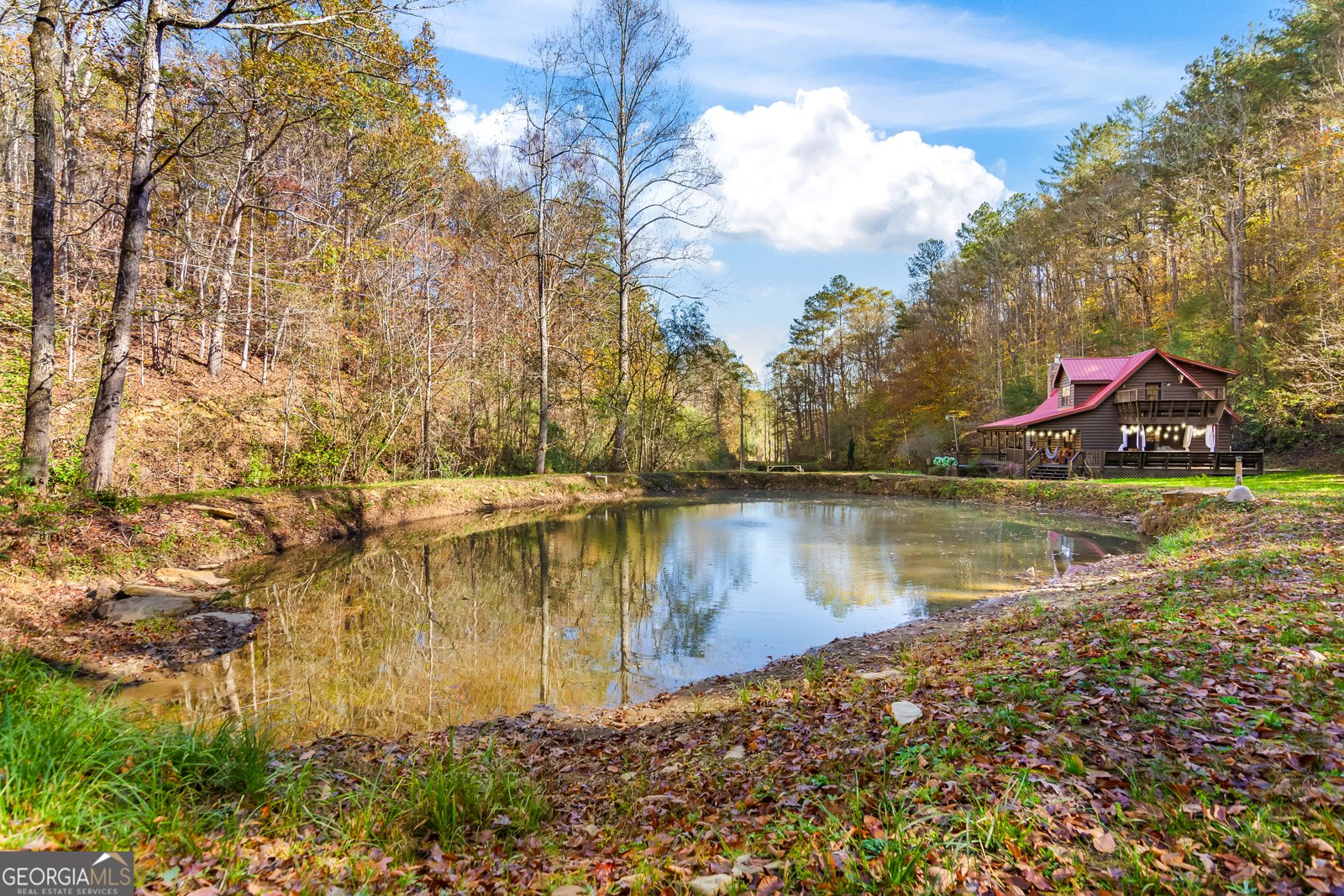 475 Holden Road Ellijay - 1