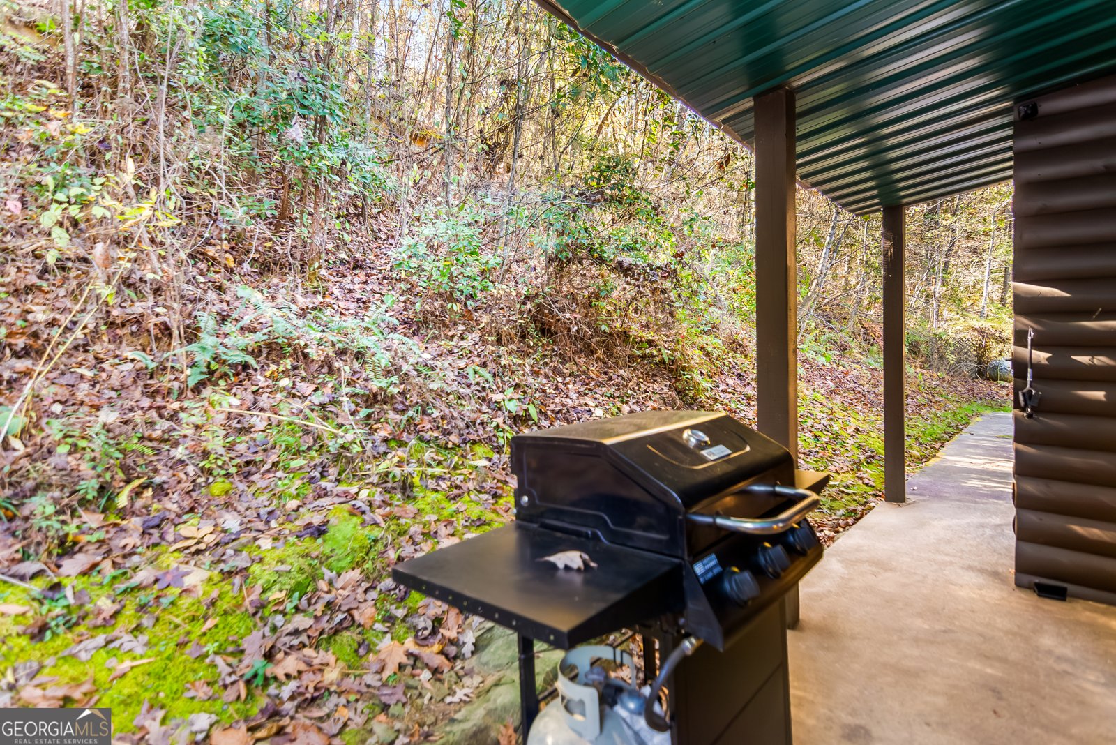 475 Holden Road Ellijay - 44