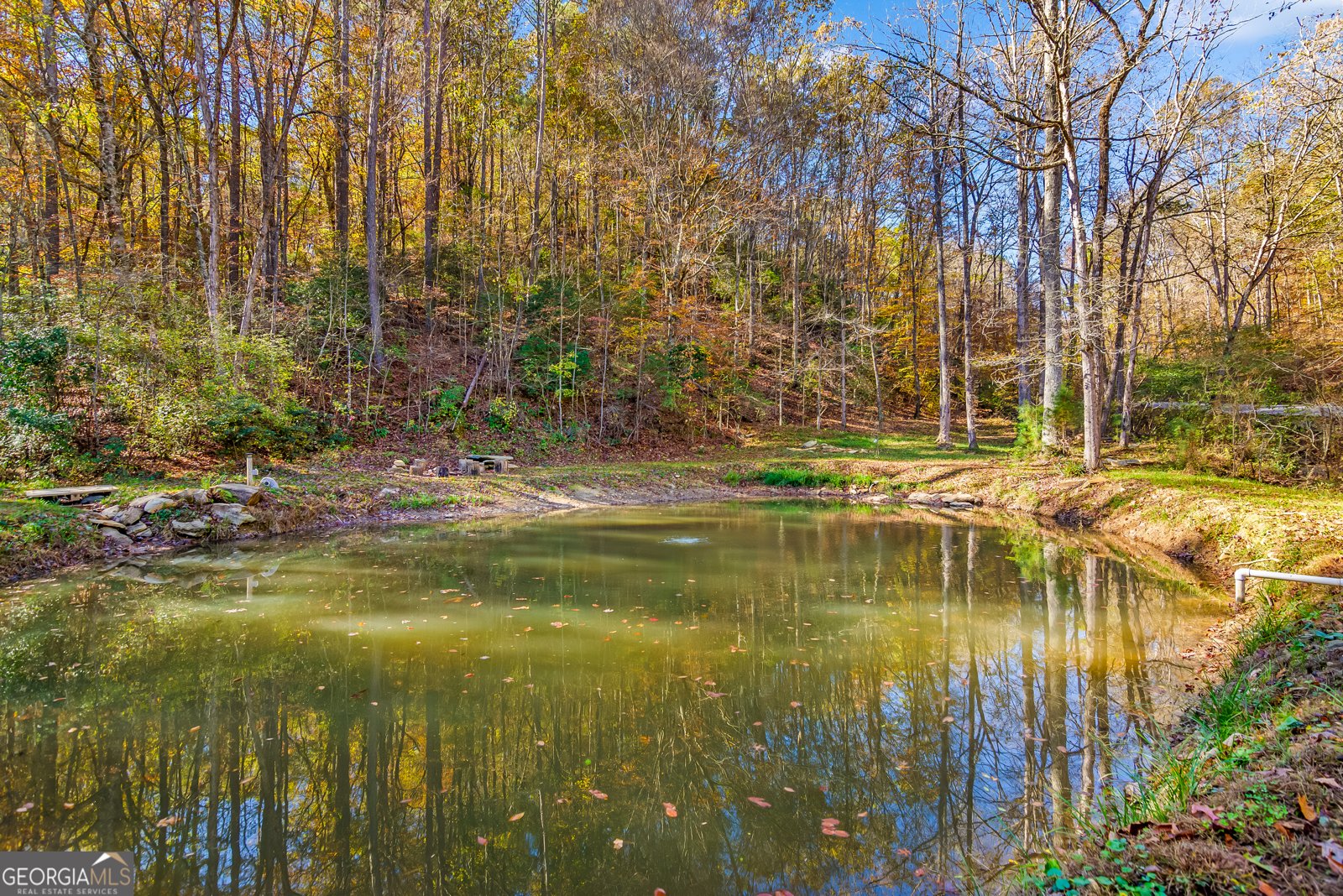 475 Holden Road Ellijay - 45