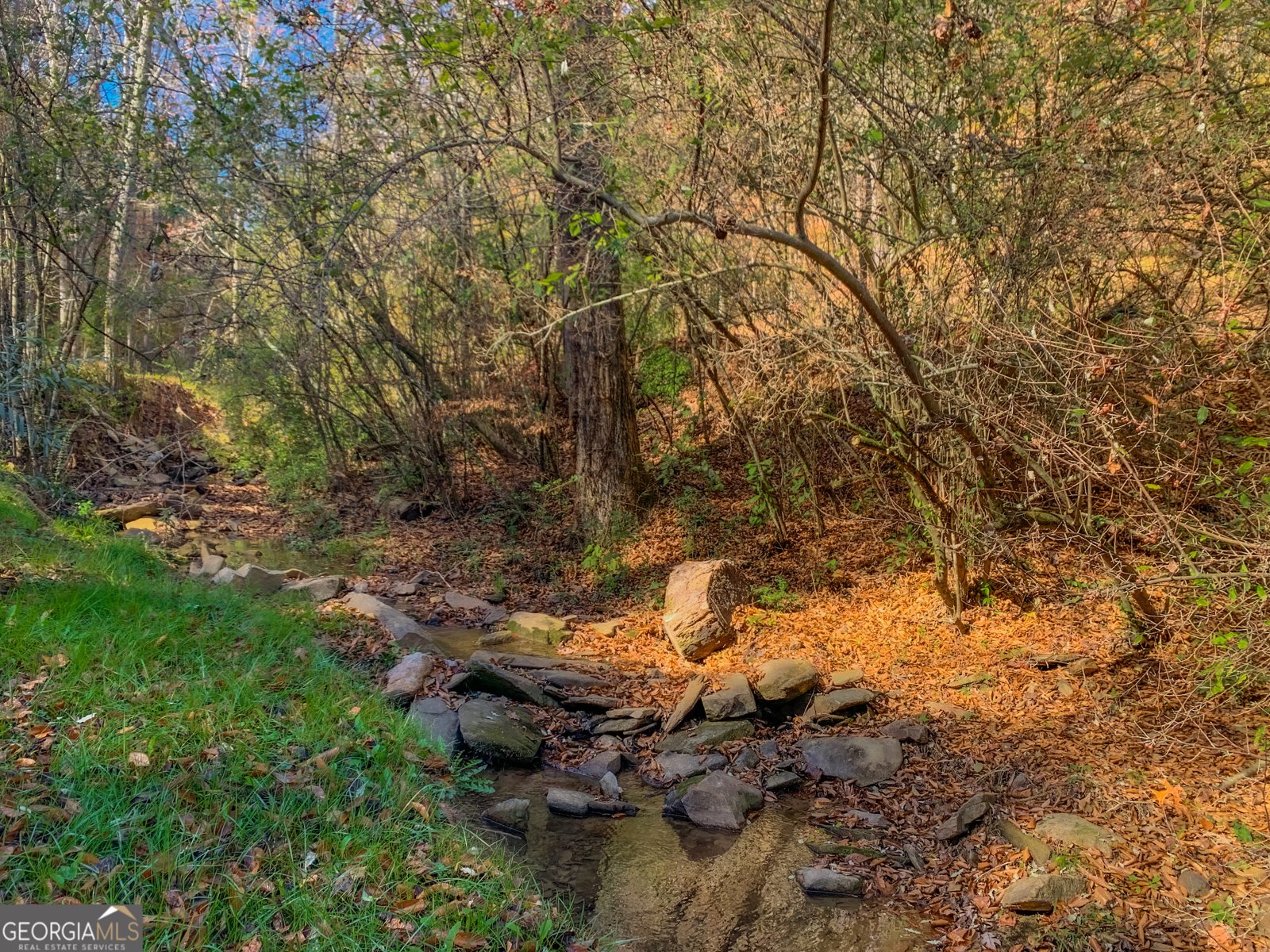 475 Holden Road Ellijay - 48