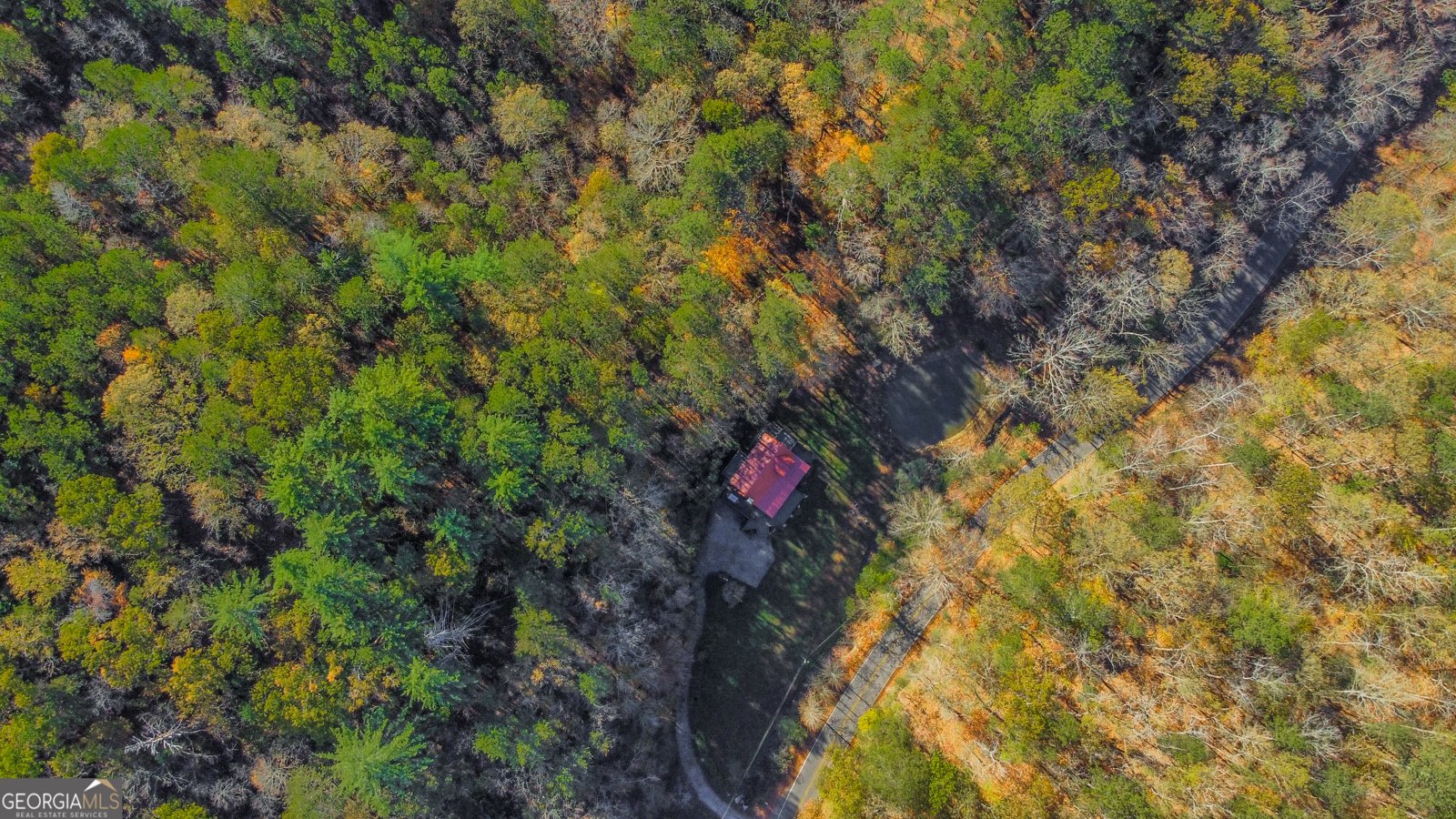 475 Holden Road Ellijay - 50