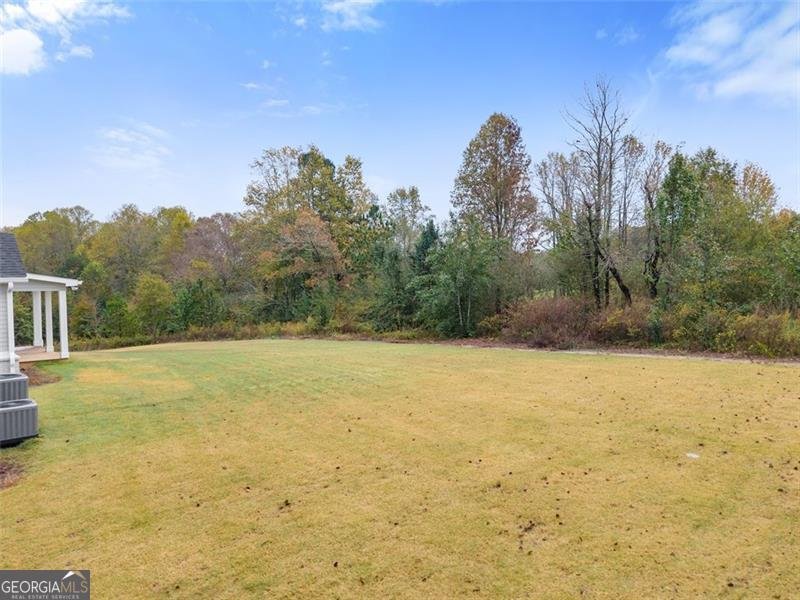 5416 Oak Manor Way Murrayville - 35