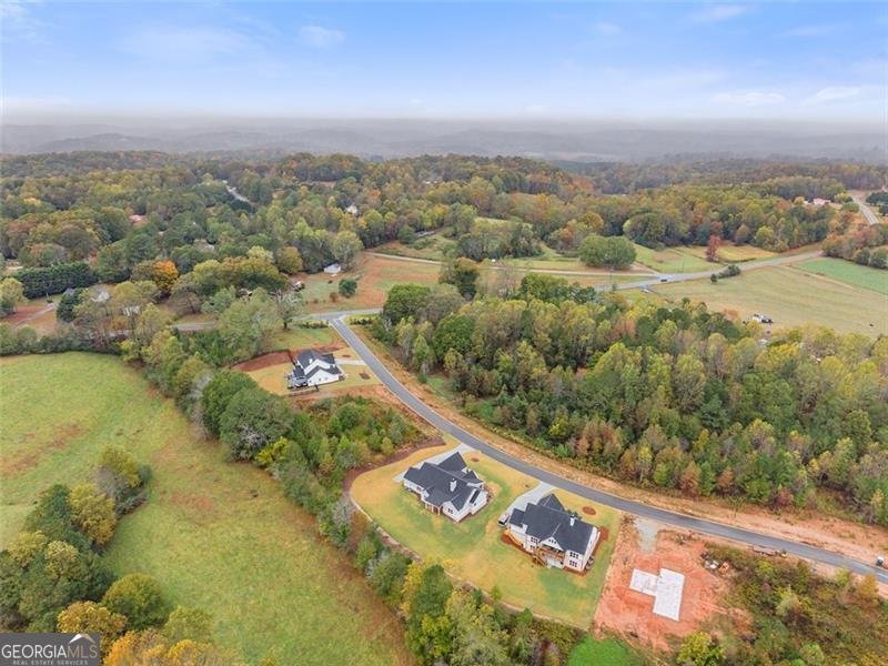 5416 Oak Manor Way Murrayville - 45