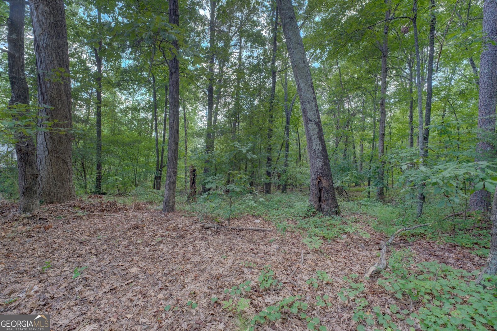 3058 White Road Conyers - 16