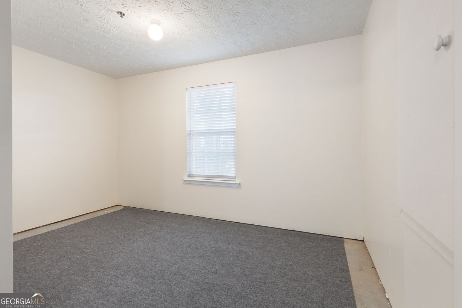 231 Village Square Drive Woodstock - 36