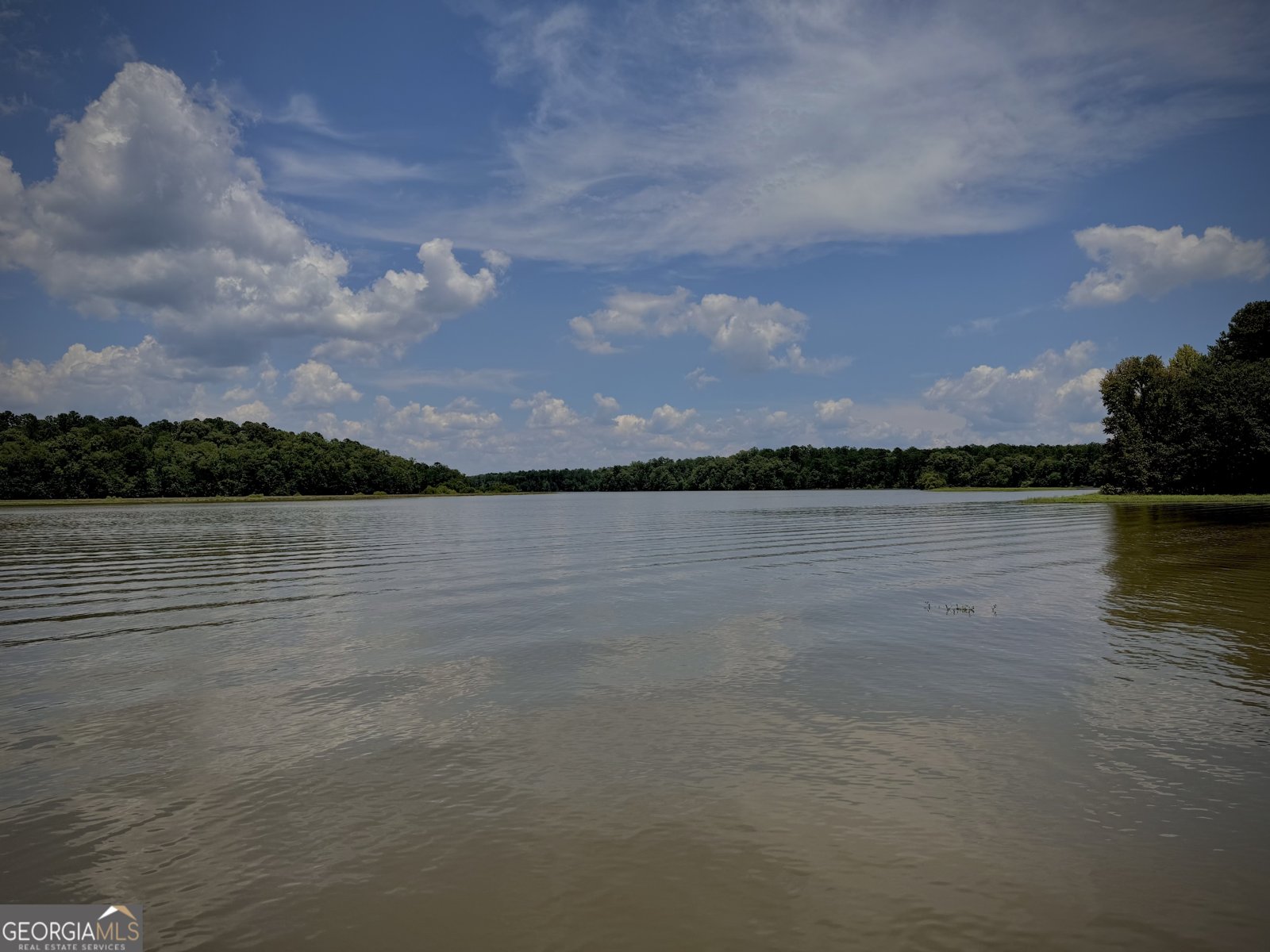 4 Grayson Point Hogansville - 13