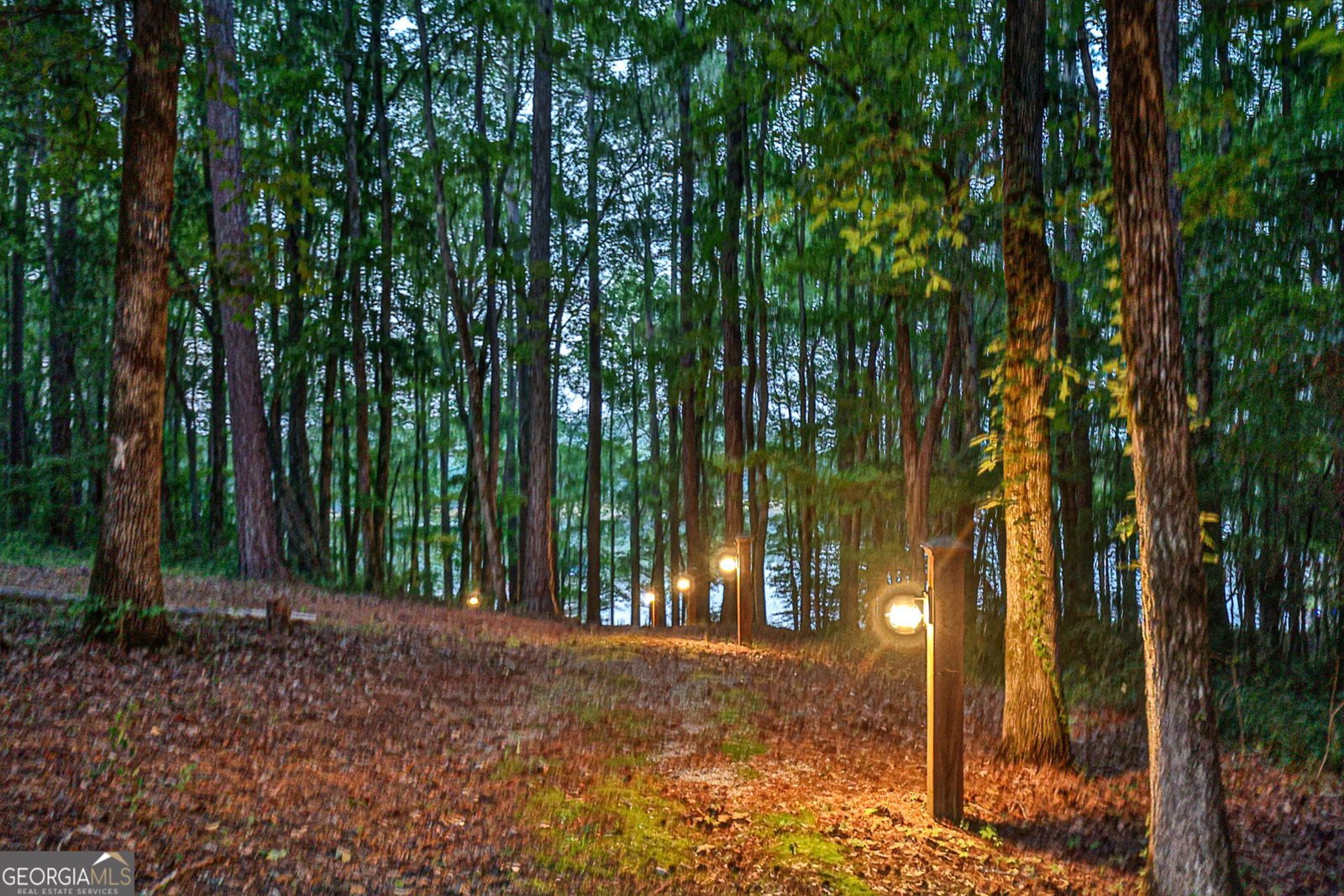 4 Grayson Point Hogansville - 21