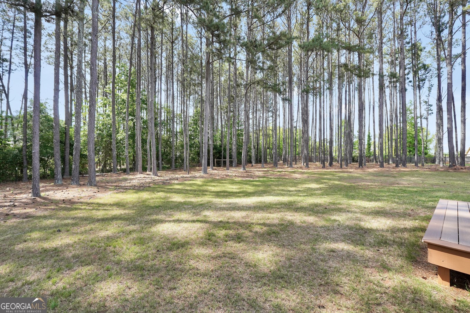 204 Carmell Court McDonough - 18