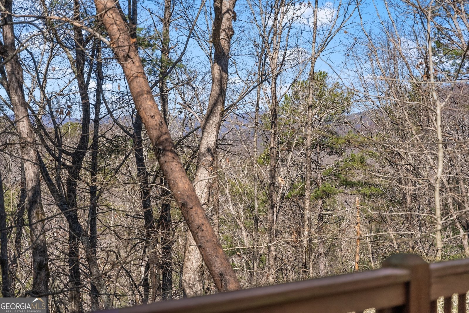 157 Beechwood Drive Cleveland - 22