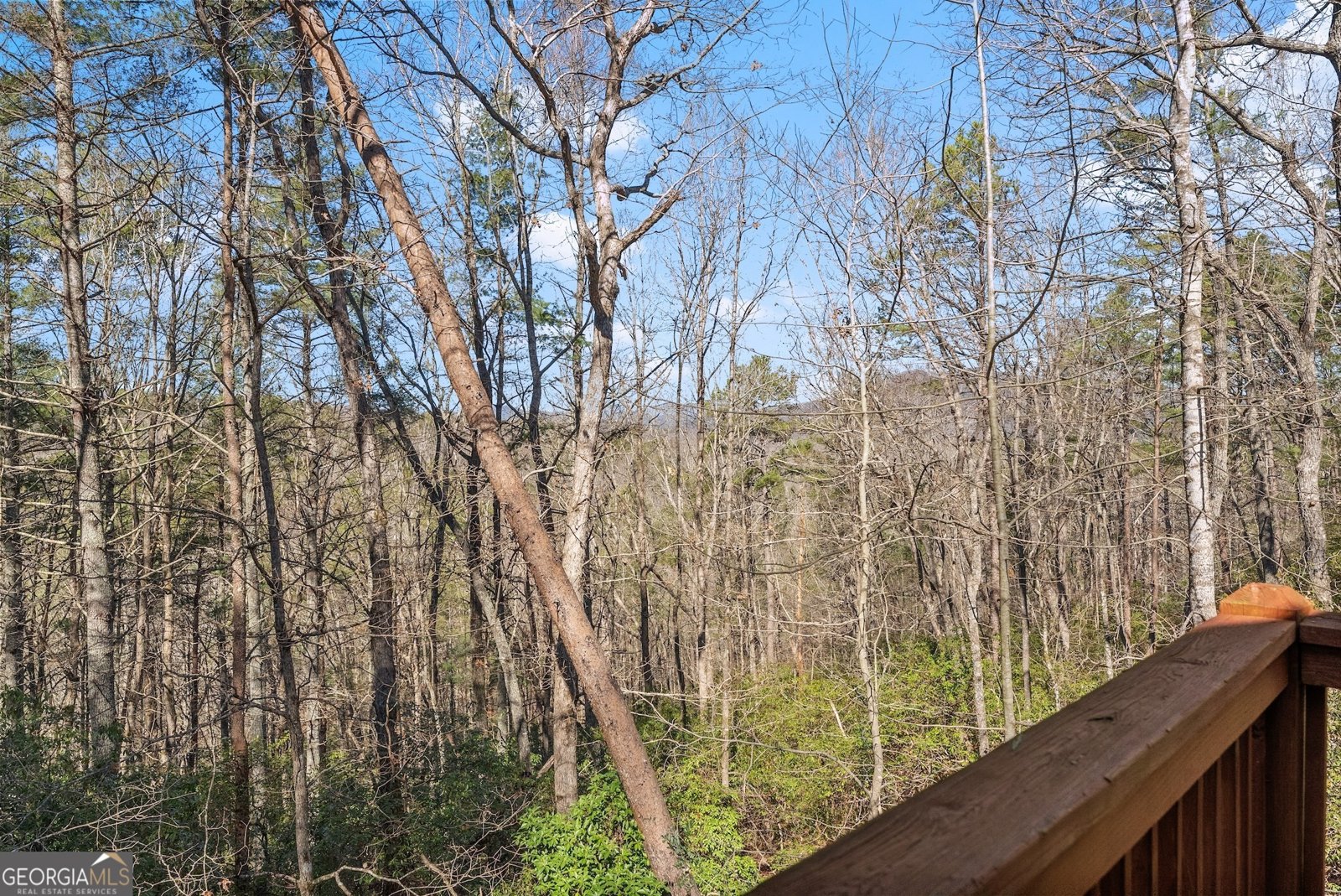 157 Beechwood Drive Cleveland - 23