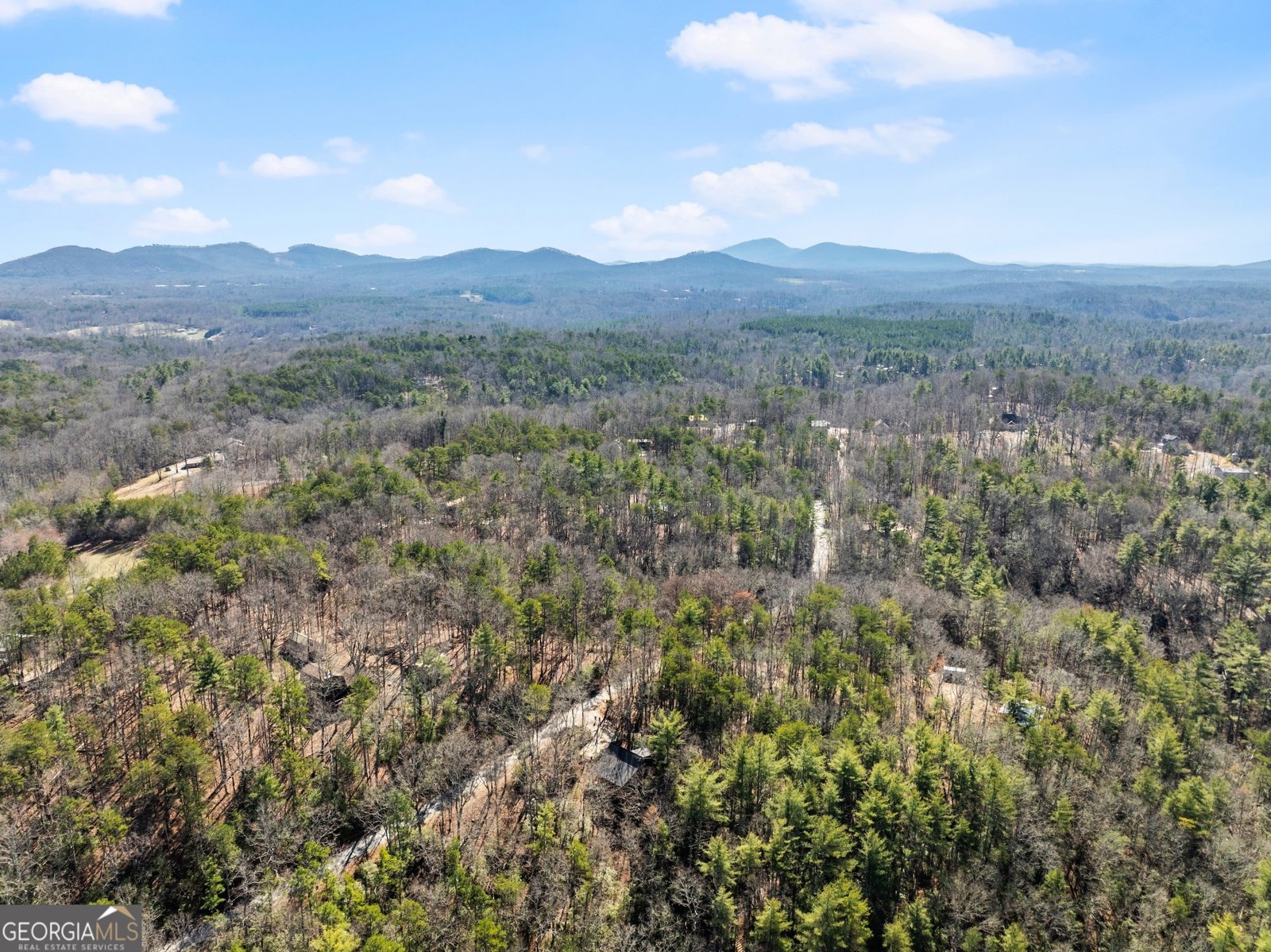 157 Beechwood Drive Cleveland - 28