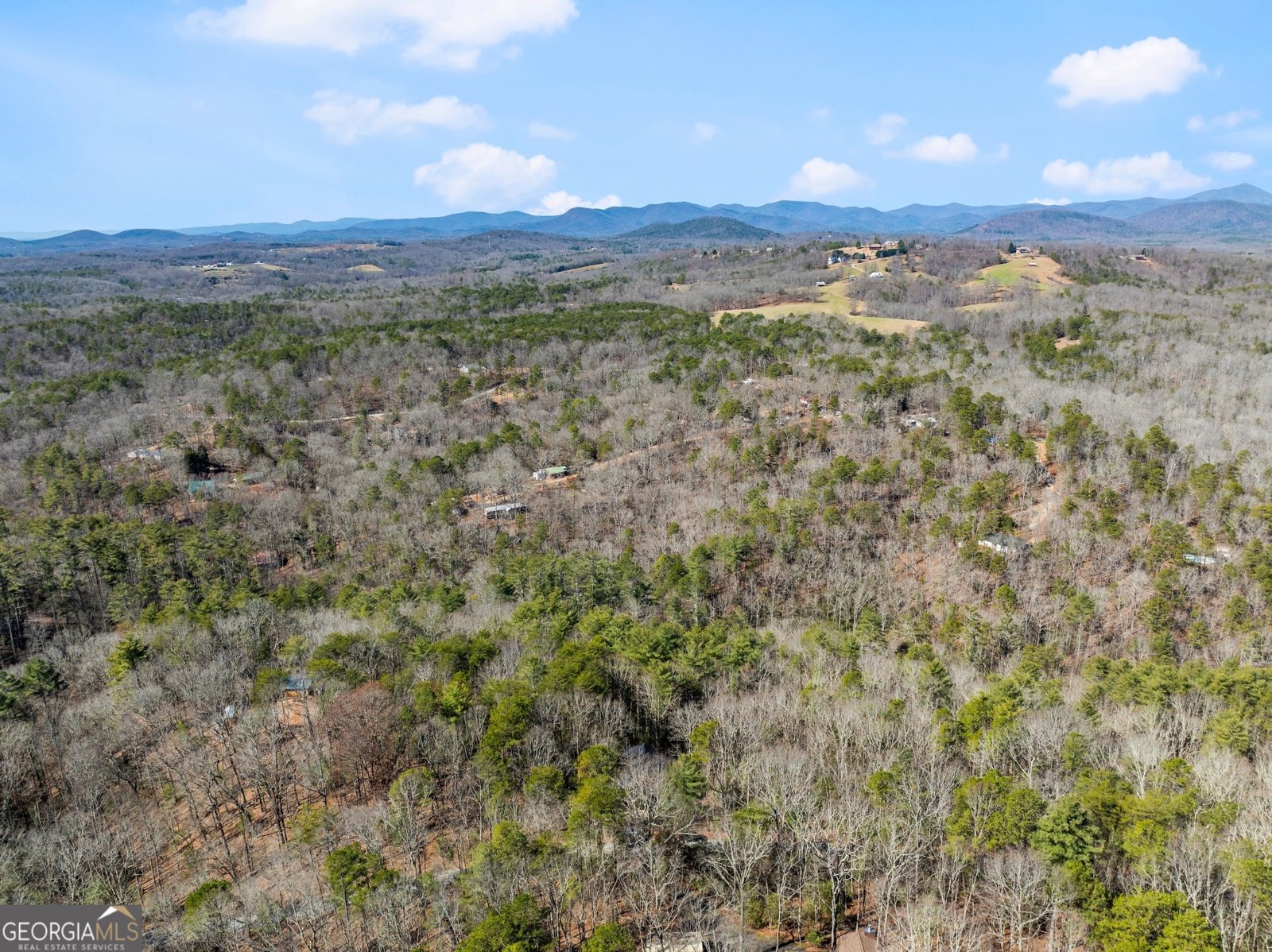 157 Beechwood Drive Cleveland - 31