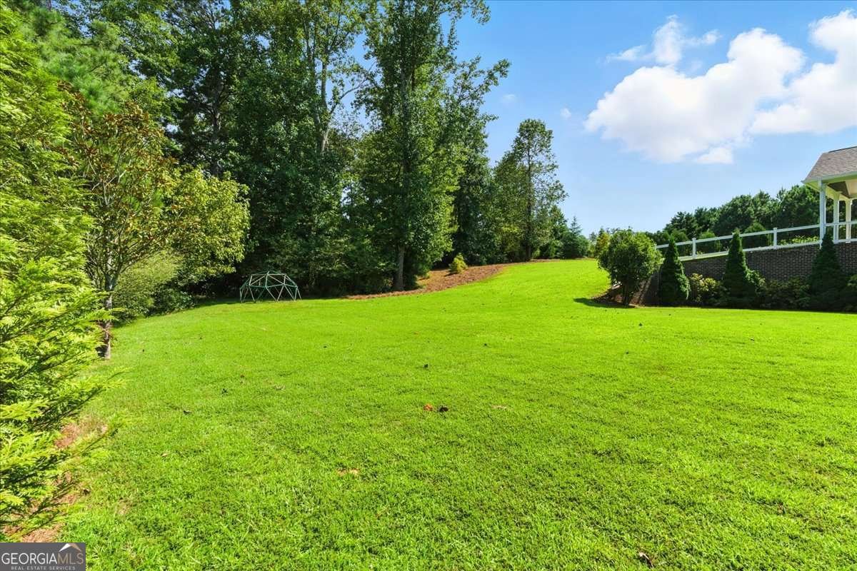 6411 WINTER HARBOR Drive Flowery Branch - 61